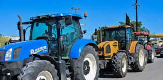 agrotes eurok 1200x630.jpg