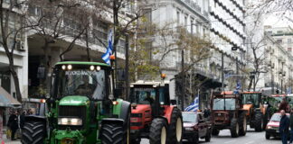 agrotes1 1200x630.jpg