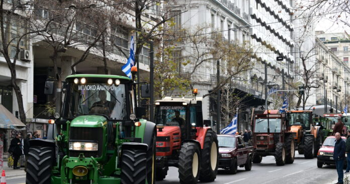 agrotes1 1200x630.jpg