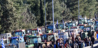 agrotes19 30112025 1200x630.jpg