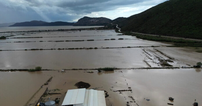 albania plimmires r4 1200x630.jpg albania plimmires r4 1200x630.jpg
