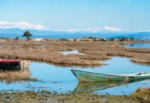 amvrakikos kolpos 7.webp.webp