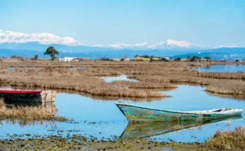 amvrakikos kolpos 7.webp.webp