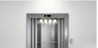 anelkystires 1 1.jpg