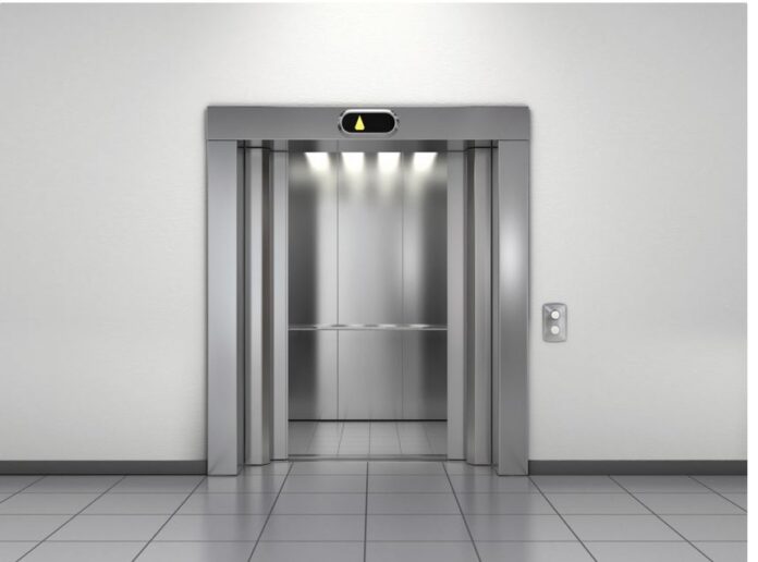 anelkystires 1 1.jpg