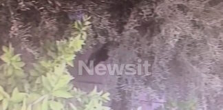 anilikos logo 1200x630.jpg