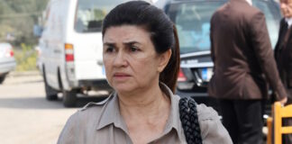 anna kouri ndp 1200x630.jpg