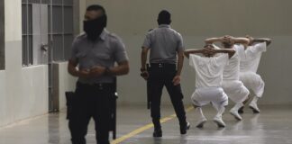 ap cecot 1200x630.jpg