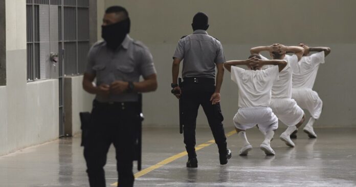 ap cecot 1200x630.jpg