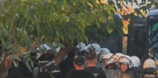 apati dedie 1200x630.jpg