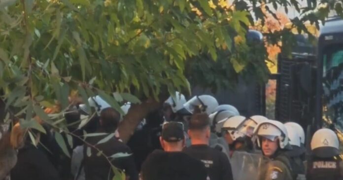 apati dedie 1200x630.jpg apati dedie 1200x630.jpg