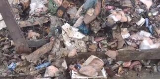 apovlita grab 1200x675 1 1200x630.jpg