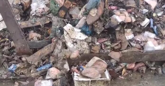 apovlita grab 1200x675 1 1200x630.jpg