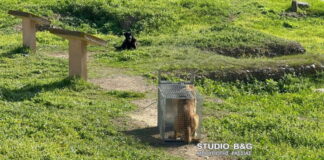 argos 3 1200x630.jpg