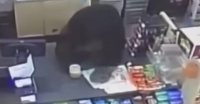 arkouda 1 1200x630.jpg