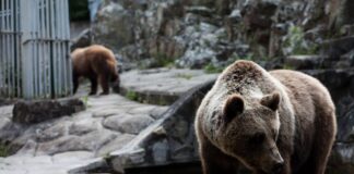 arkoudes 1200x630.jpg