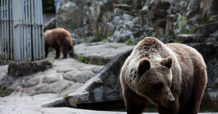 arkoudes 1200x630.jpg