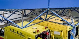 asthenofora 1 1200x630.jpg