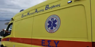 asthenoforo 1.webp.webp