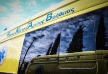 asthenoforo 4 1 1200x630.jpg