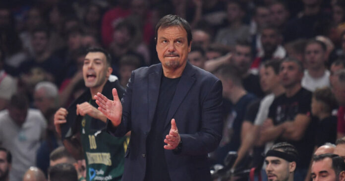 ataman 1 1200x630.jpg