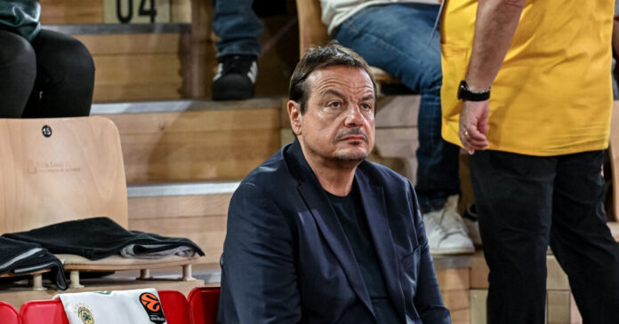 ataman 14 1200x630.jpg