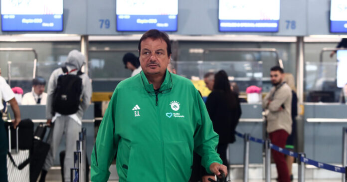 ataman 2 1 1200x630.jpg