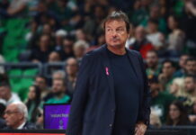 ataman 6 1200x630.jpg