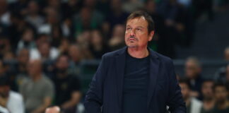 ataman 8 1200x630.jpg