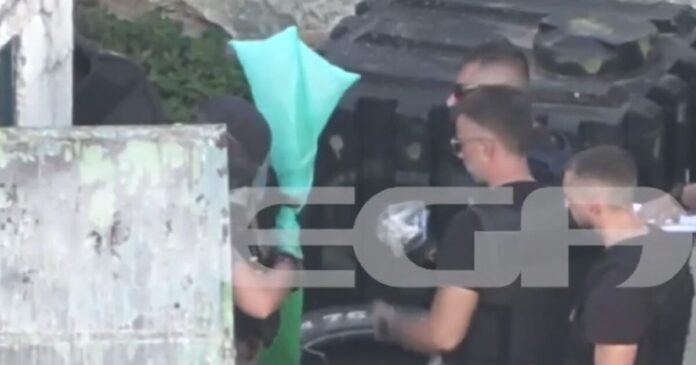 borizia 1200x630.jpg