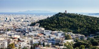 braxuxronia misthwsi 2.jpg