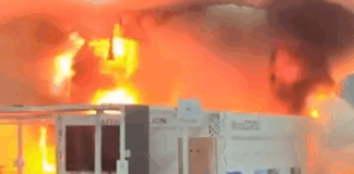 brazilia2 1200x630.png