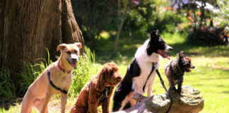 c62faa827fa72dbad80af735679708ef L.jpg