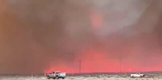 california 14112025 1200x630.jpg