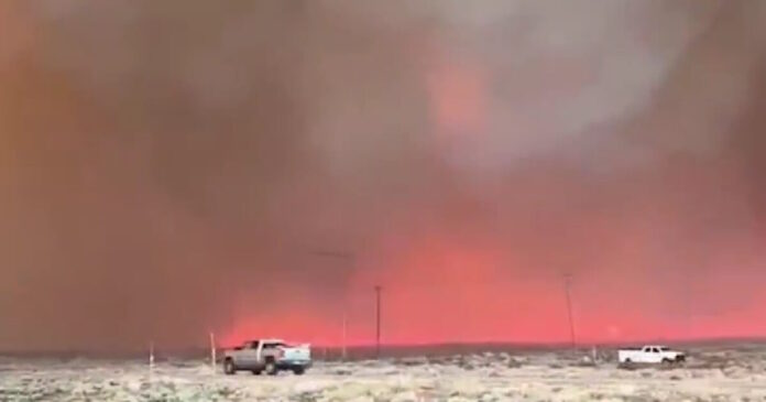 california 14112025 1200x630.jpg