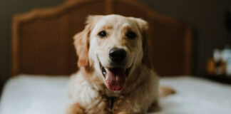 d46047175b7ad02f4f66952efe4d597e L.jpg