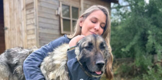 d52cdba92ea94eec6c88fd4f10b31f52 L.jpg