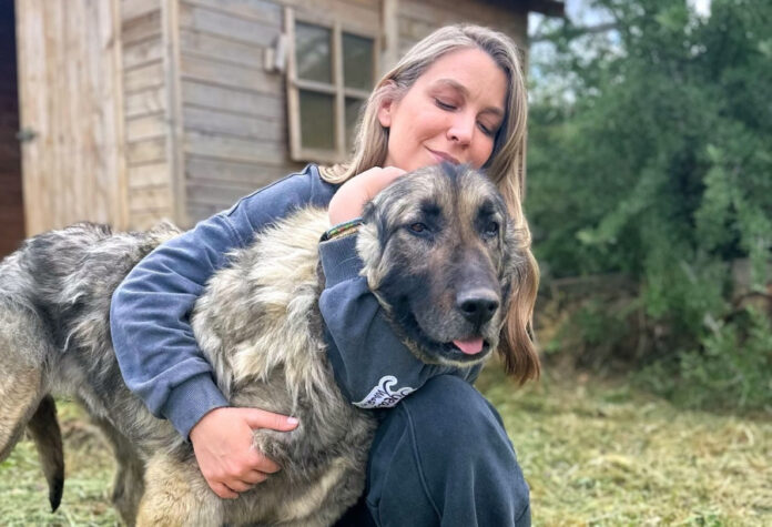 d52cdba92ea94eec6c88fd4f10b31f52 L.jpg