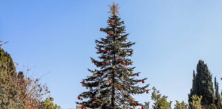 dentro 2 1200x630.jpg