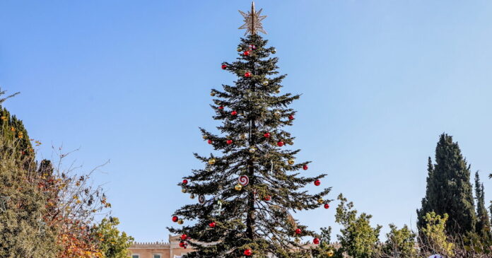 dentro 2 1200x630.jpg