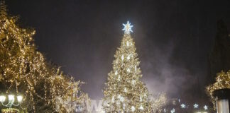 dentro 2 2 1200x630.jpg