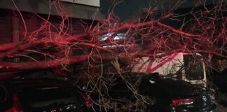 dentro autokinita 1200x630.jpg