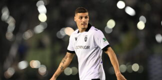 despodov 1 1200x630.jpg