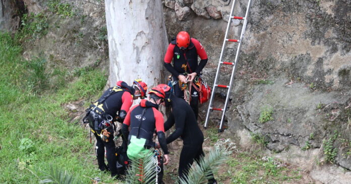 diaswsh diaswstes eurok 1200x630.jpg