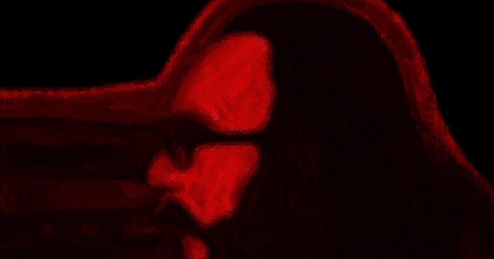 dionisis savopoulos 1200x630.jpg