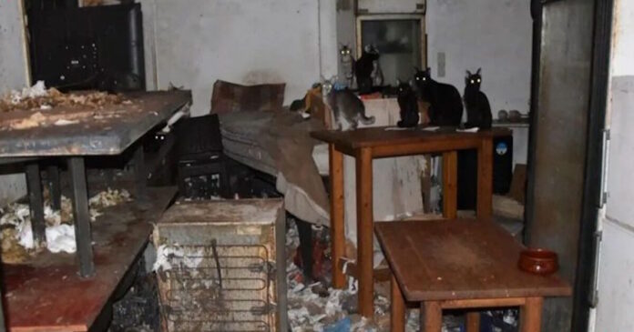 donousa gates 11112025 1200x630.jpg