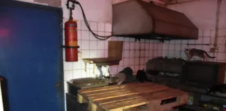 donousa gates3 11112025.webp.webp.webp