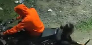 drastes 1200x630.jpg