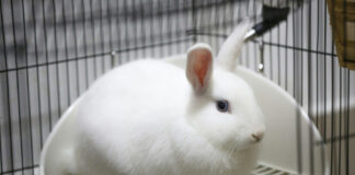 e664de322ba1f9ac22754847fd6f1018 L.jpg