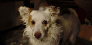 e979e09567083a00ad0411d43afbeb8e L.jpg